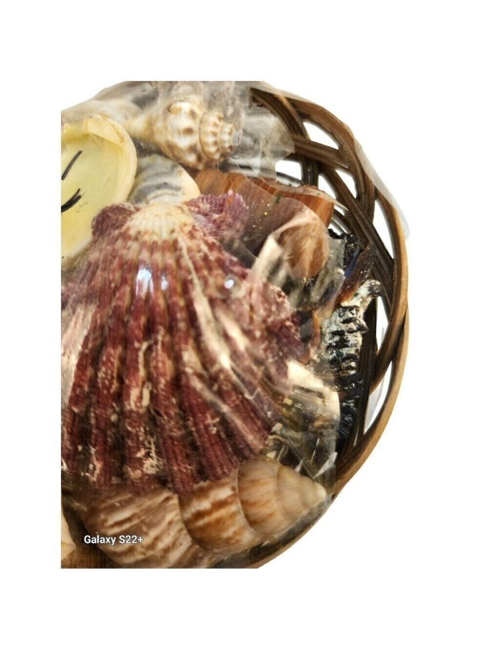 Seashell Basket Set 2 Decorative 5" x 3" - Picture 5 of 9